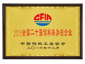 2016ȫʮǿӼҵ